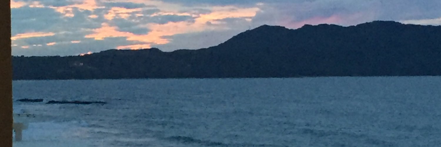 TheEagle00's profile banner image