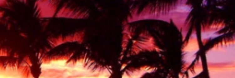 _muurph's profile banner image