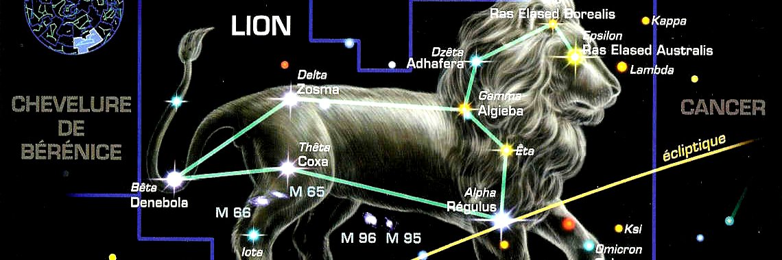 SigneLion_'s profile banner image