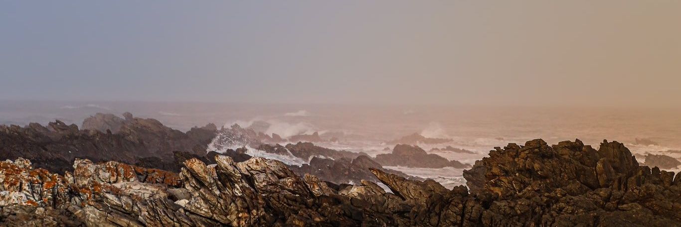 saidmerev's profile banner image