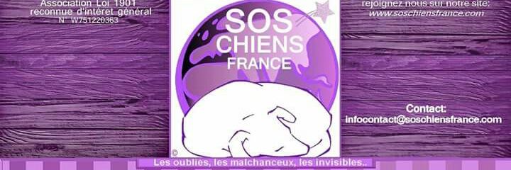 SOS Chiens France banner