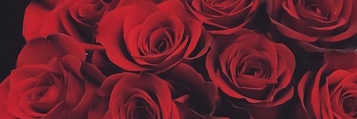 rvql_'s profile banner image