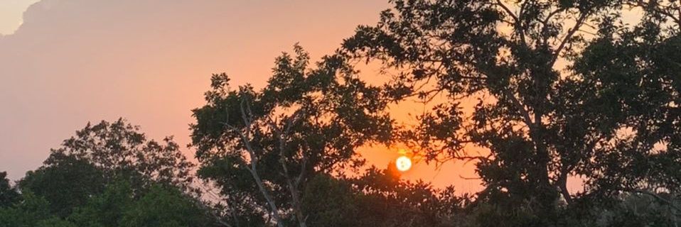 mempsycho's profile banner image