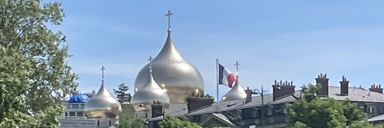 Daree Allen Nieves banner