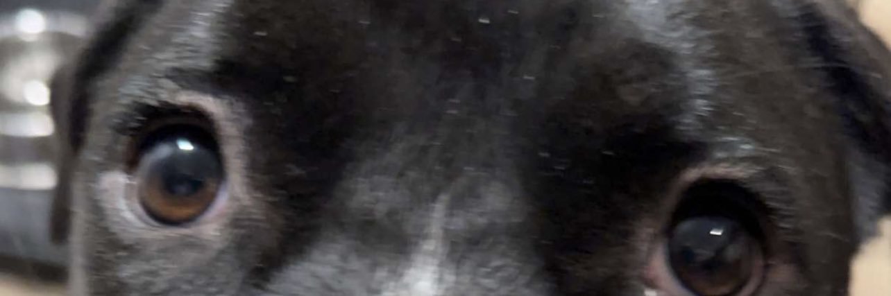 g__p__t's profile banner image