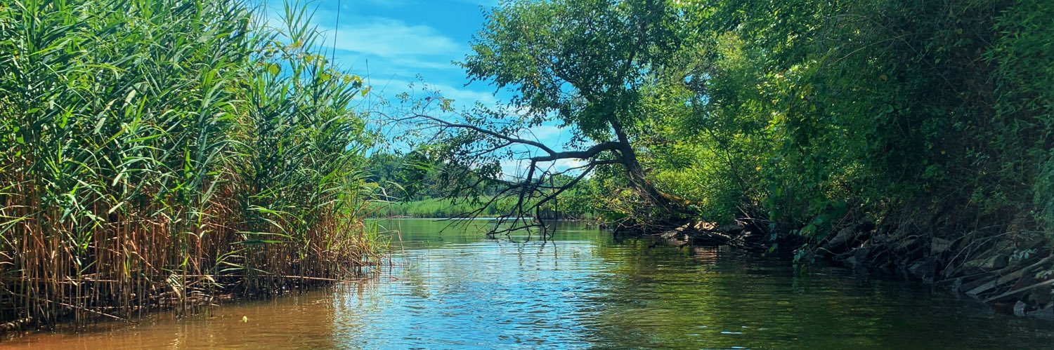 Elliott Plack banner