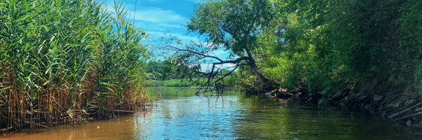 talllguy Profile Banner