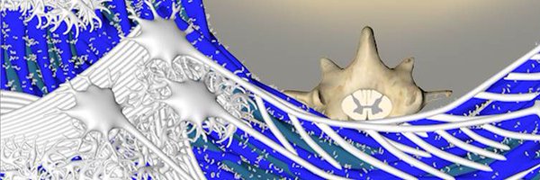 zaidalpi Profile Banner