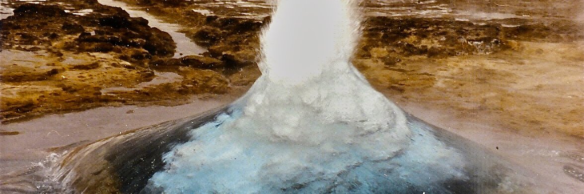TuniRichburgh's profile banner image