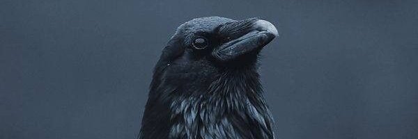 Settᵉᶜᵇ🇱🇺🌏 banner