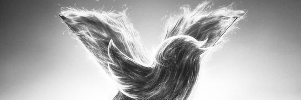 MrHealthyLifestyles banner