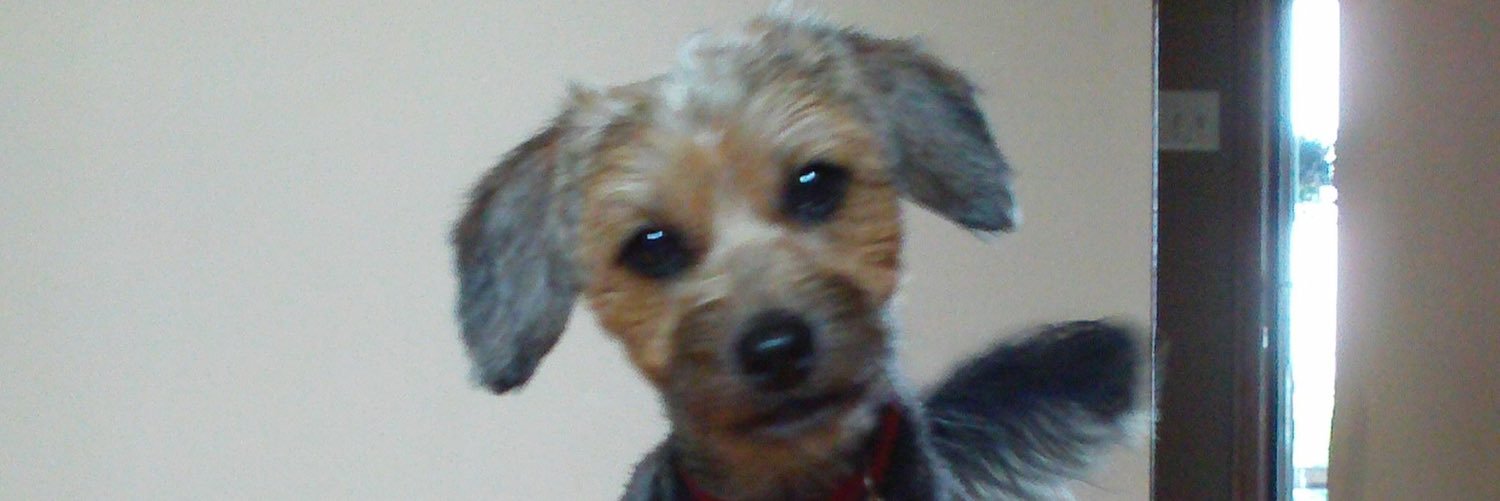 Tanner_wuw's profile banner image
