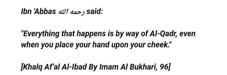 Warda_ibrahims's profile banner image