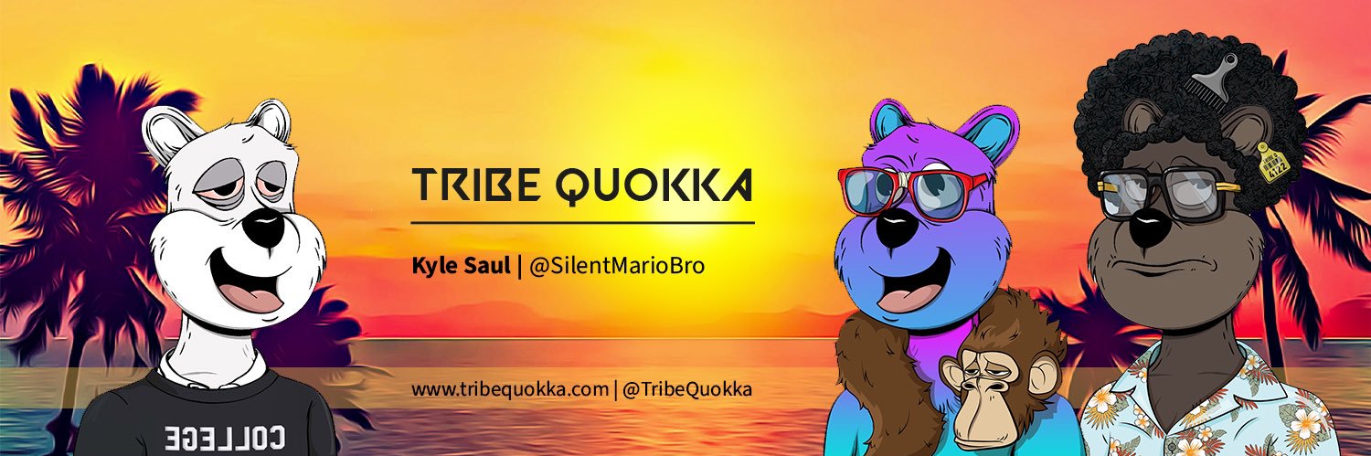 SilentMarioBro's profile banner image