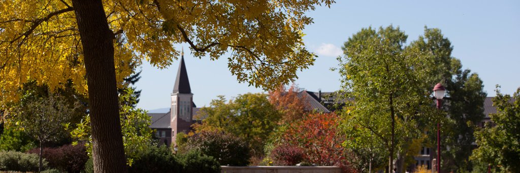 DU Graduate Life banner