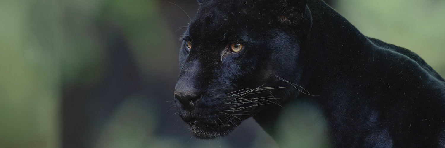 Zoologico La Aurora banner