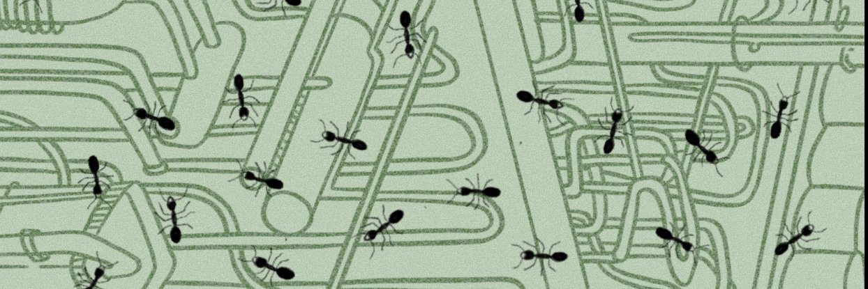 Heinrich-Böll-Stiftung Ciudad de México banner