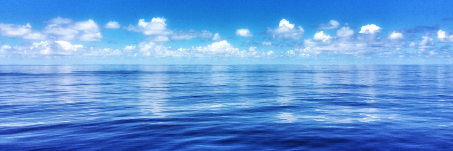 AdelynNEMO's profile banner image