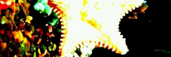 MiketheLCB Profile Banner