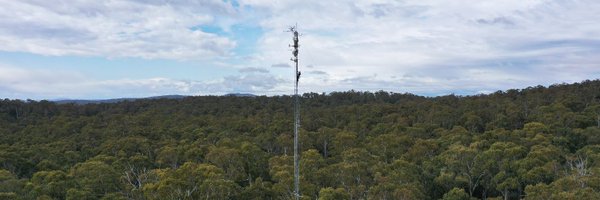 w_woodgate Profile Banner