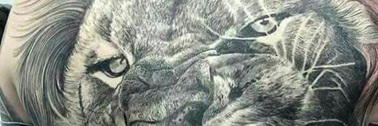 PmTcr's profile banner image