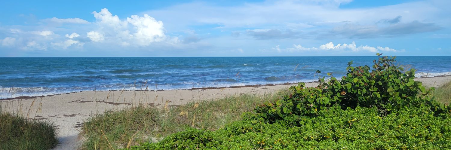 rossmeitin's profile banner image