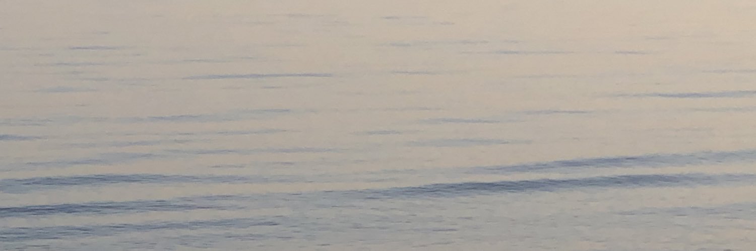 MariaJCarrera's profile banner image