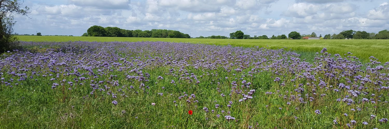 Claire Sutton MCCT banner