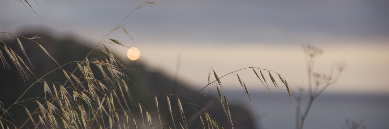 kmlill's profile banner image
