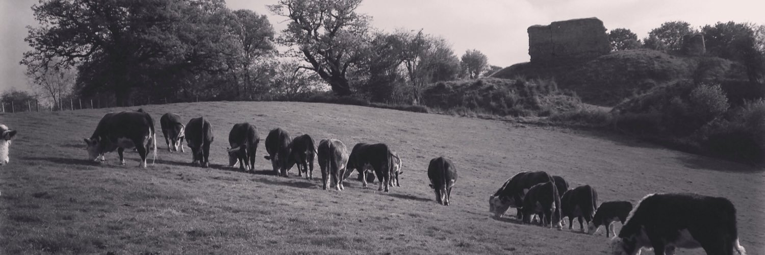 farmingthefield's profile banner image