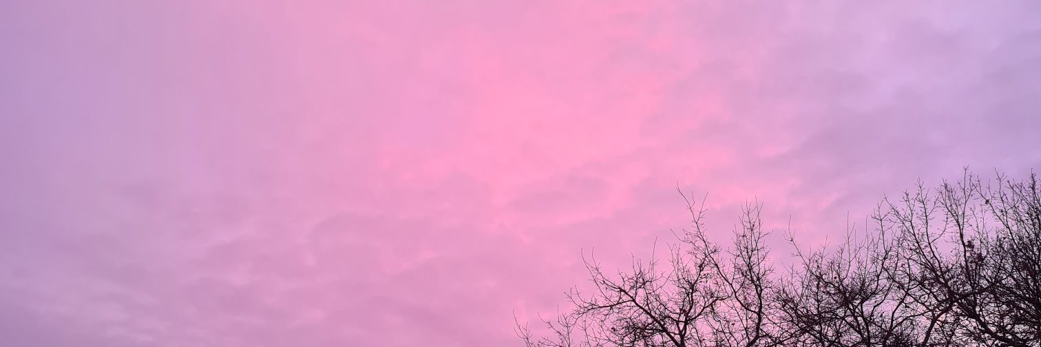 ameleviosa's profile banner image