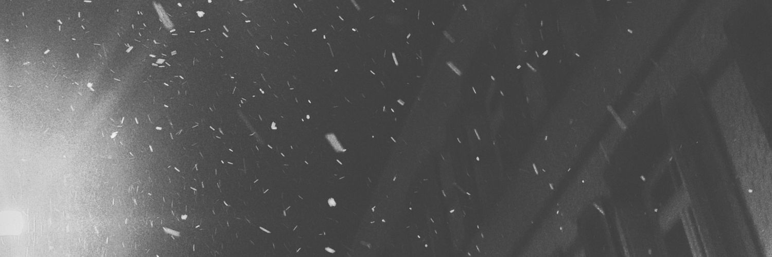 karinvoeni's profile banner image