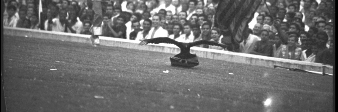 Junior_S53's profile banner image