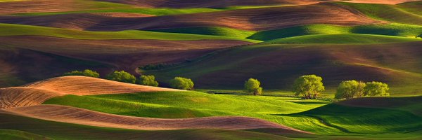 cococonradio Profile Banner