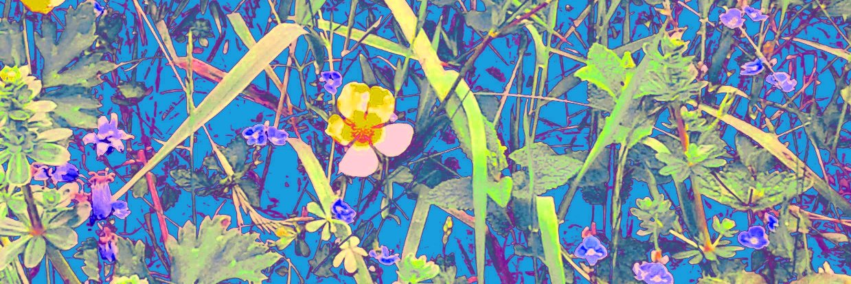 jopaintbrush1's profile banner image
