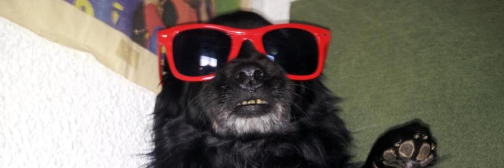 felipez360.bsky.social banner