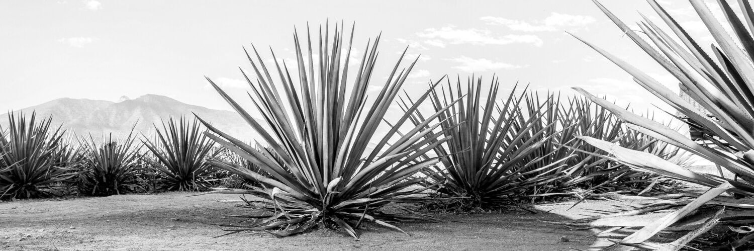 _ANDREWGOMEZ's profile banner image