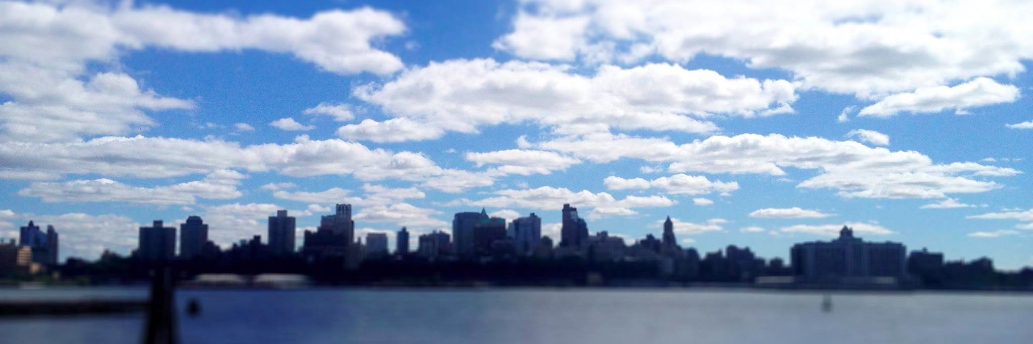 erinaceously's profile banner image