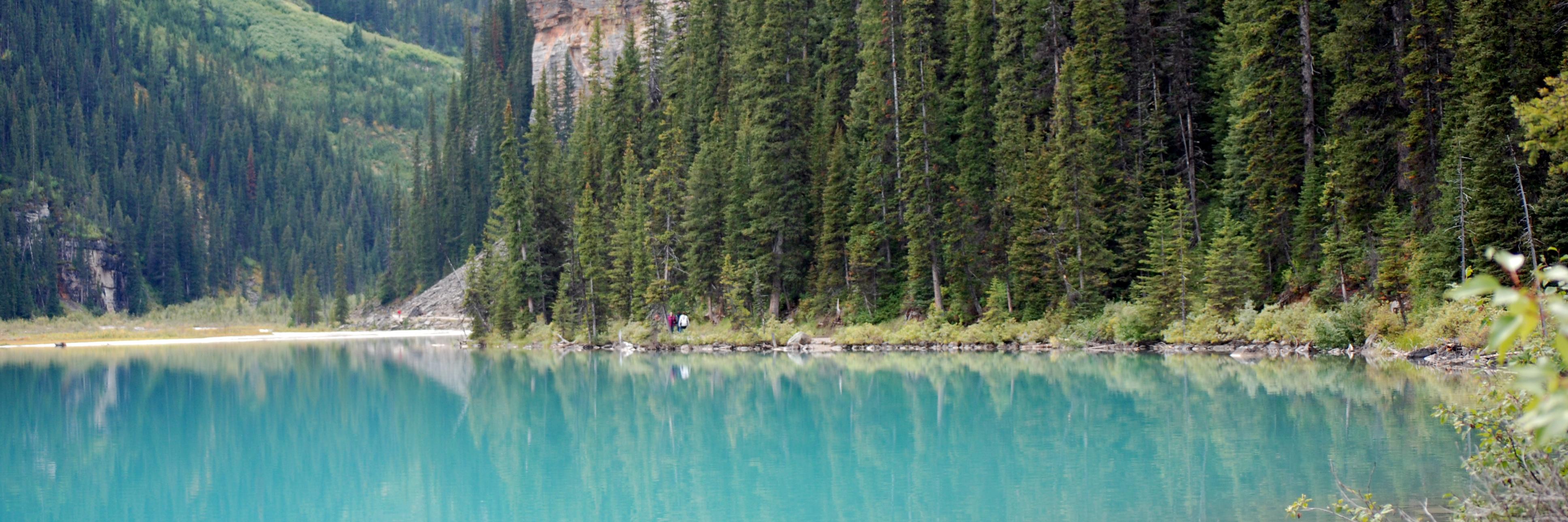 CrazyLandscape's profile banner image