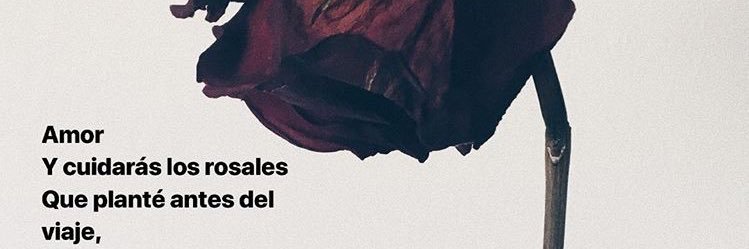 Jenniglezdguez's profile banner image