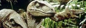 Raptor_1024's profile banner image