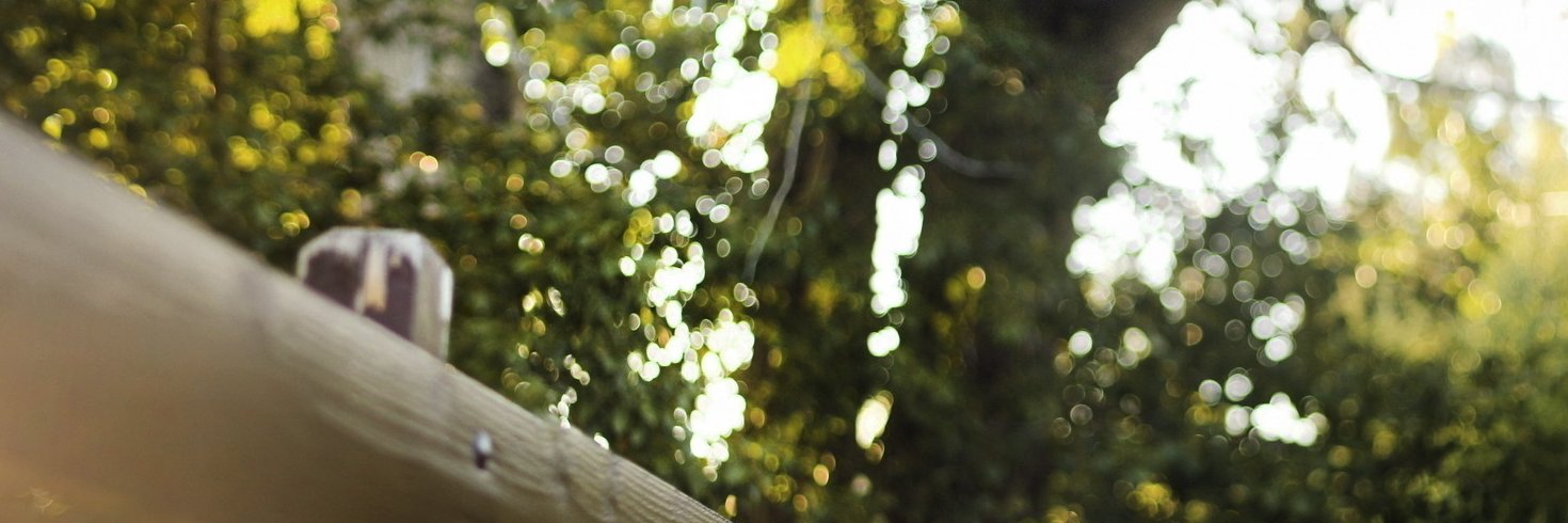 JMaxcvseal's profile banner image
