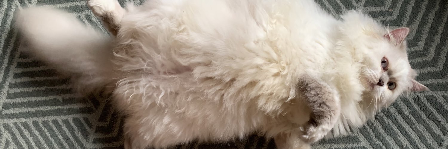 Hi_mimie's profile banner image