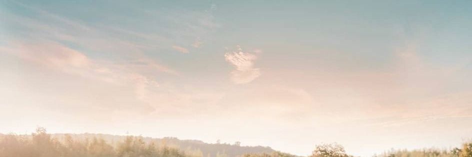ansultt's profile banner image