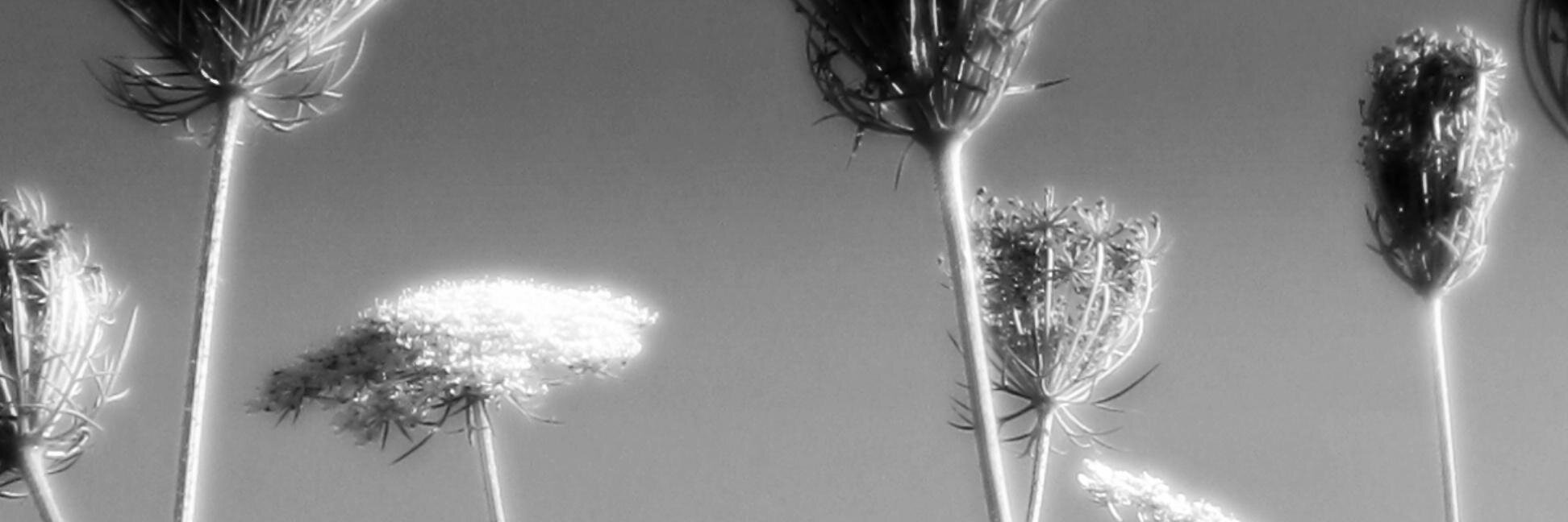 Romylena's profile banner image