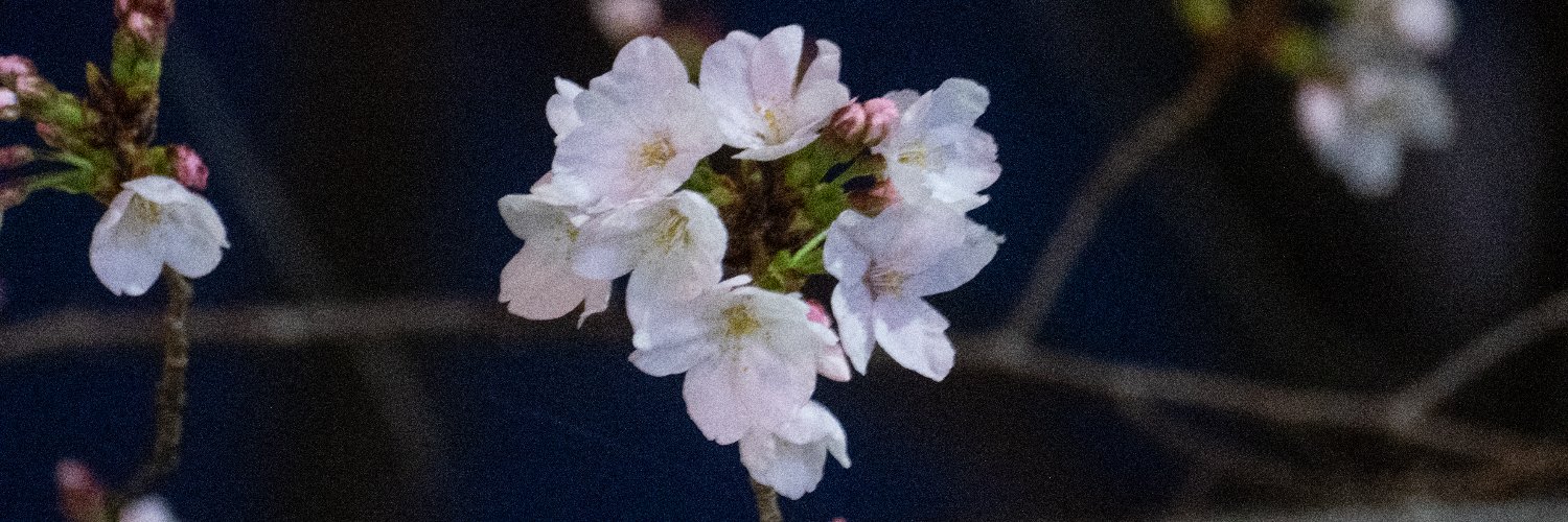 ripjyr's profile banner image