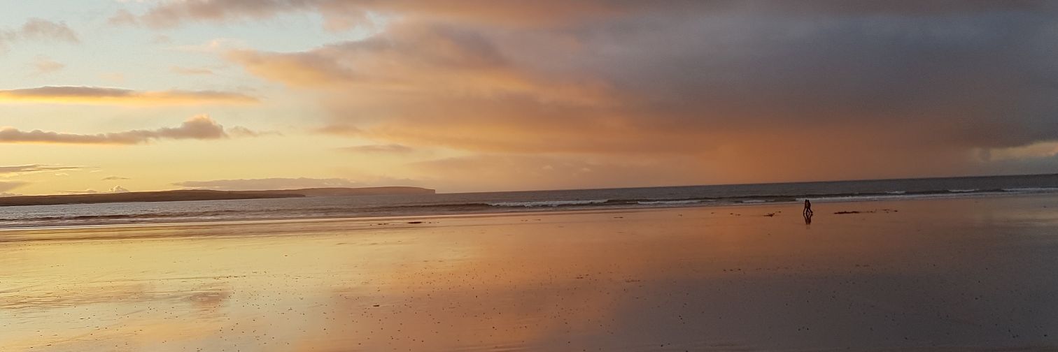iona_neap's profile banner image