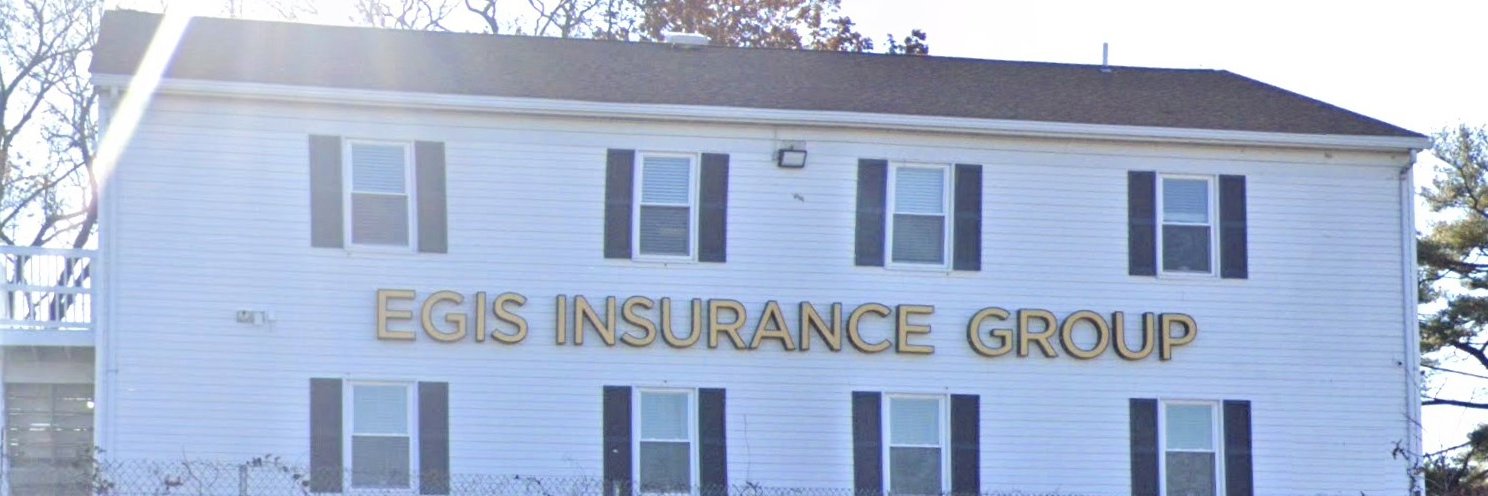 The Egis Group banner