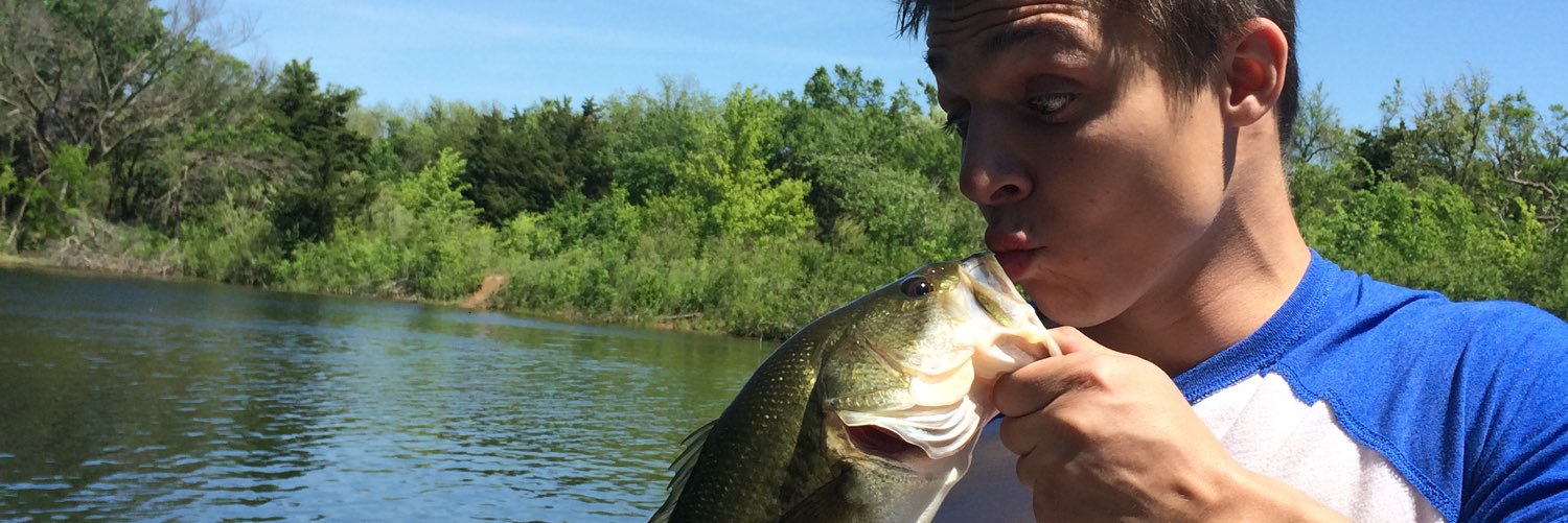 moggolicious's profile banner image