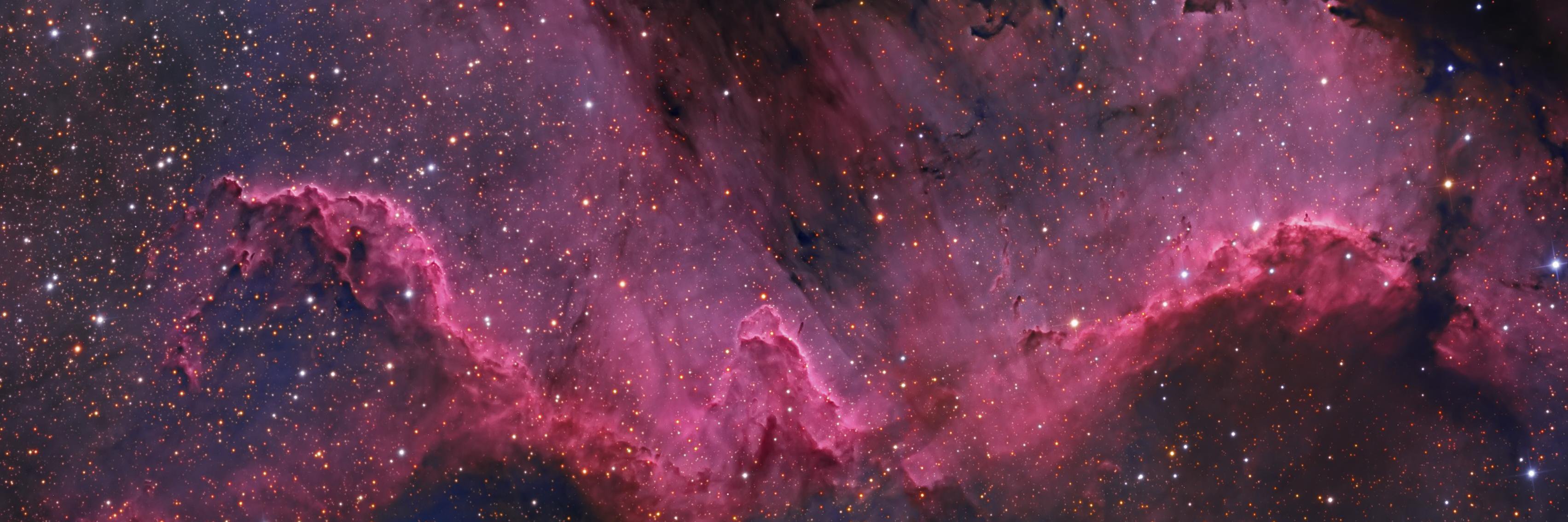 Fedde Benedictus banner